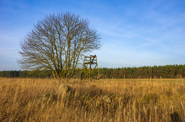 Mecklenburg Field Scenery