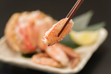 毛ガニイメージ写真