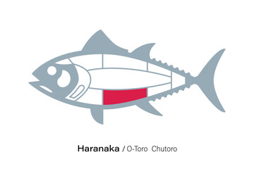 Haranaka O-Toro Chutoro. Tuna Cuts line diagram.  Japanese style