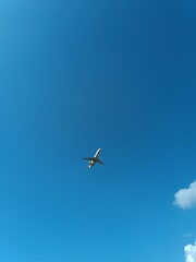 Airplane on the background of a blue sky view from below