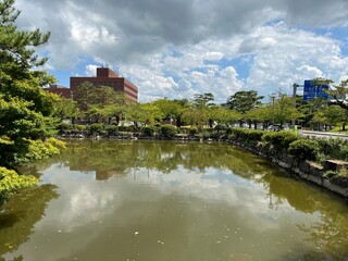 Fototapeta na wymiar 鶴ケ岡城の堀