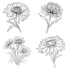 hand drawn flowers, flower, art, design, Ai generated