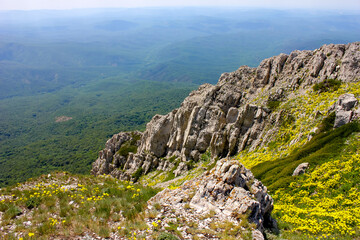 mountain rock covered with flowers and stones against the backdrop of distant forested hills in Europe