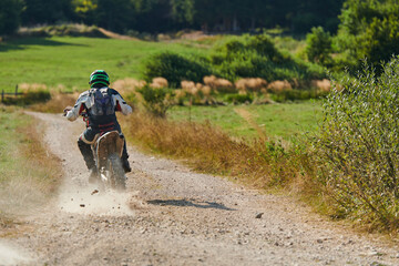 Obraz premium A professional motocross rider exhilaratingly riding a treacherous off-road forest trail on their motorcycle.