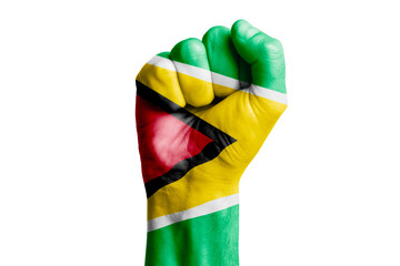 Man hand fist of GUYANA flag painted. Close-up.