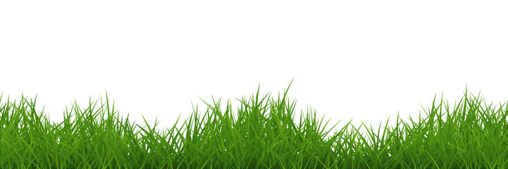Fototapeta premium Green irregular grass wide seamless border Isolated PNG