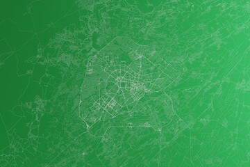 Map of the streets of Tashkent (Uzbekistan) made with white lines on green paper. Rough background. 3d render, illustration