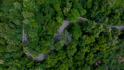 Aerial top view road in green tree forest, Top view from drone rural road, mountains, forest. Beautiful landscape with roadway, Aerial view of road in the middle the forest, Road curve on mountain.