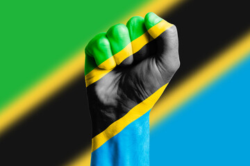 Fototapeta na wymiar Man hand fist of TANZANIA flag painted. Close-up.
