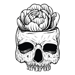 skull with rose flower vintage design vecor illustration coloring page