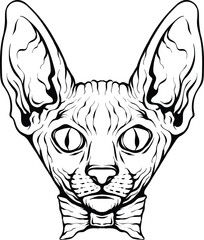 tattoo design sphynx cat illustration isolated vector black and white