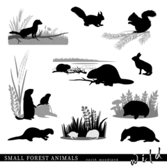 Schilderijen op glas Small forest animals, silhouettes and scenes. Vector illustration. © Евгений Горячев