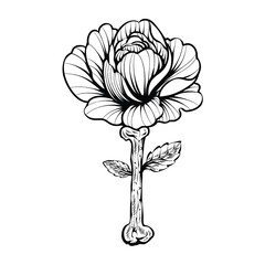tattoo  design roses  illustration isolated vector