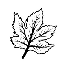 Leaves Line icon for Autumn