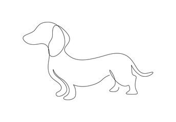  Dachshund dog continuous one line drawing. Silhouette of walking dog. Isolated on white background vector illustration. Pro vector.