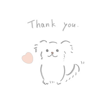かわいい白い犬 (thank you)
