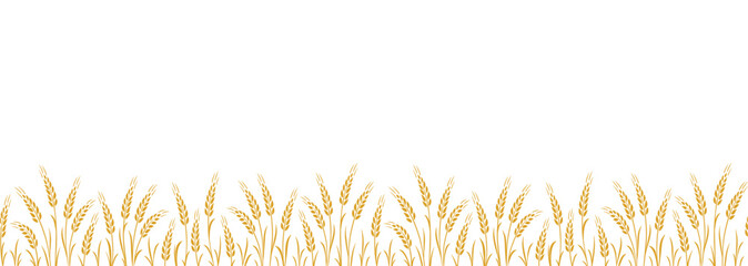 Seamless pattern stripe with wheat, oat, barley, rye, wheat ears stalks silhouette on white background - 652264532
