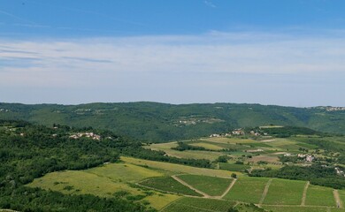 Beautiful landscape of Motovun in greenery on a sunny morning