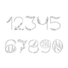 Set of numbers with floral details. Vector illustration.