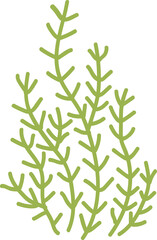 Fototapeta na wymiar Cute hand drawn seaweed.