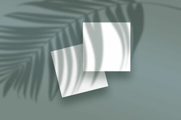 Illustration of abstract shadows of plants on a background with blank frames with copy space