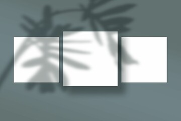Illustration of abstract shadows of plants on a background with blank frames with copy space