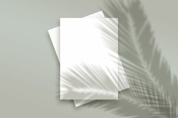 Illustration of abstract shadows of plants on a background with blank frames with copy space