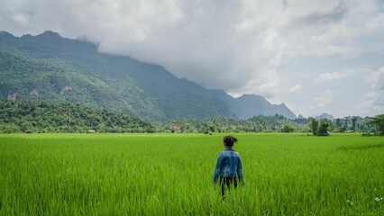 Fototapeta na wymiar Beautiful view of a female enjoying the view in the rice field in Lao