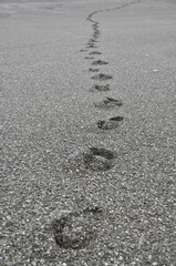 Vertical shop of footprints on a gravel beach