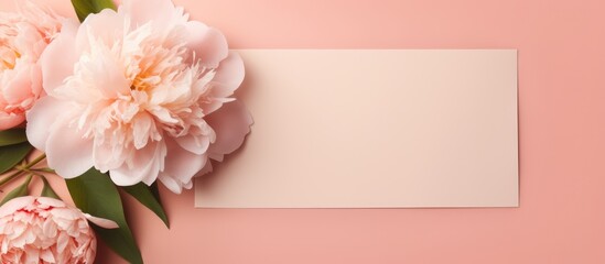 Top view of a blank paper card with a peony flower and sunlight shadows on a peach background Minimalist luxury bohemian branding concept