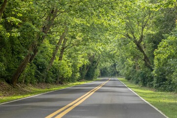 Scenic rural roadway with lush greenery on either side.