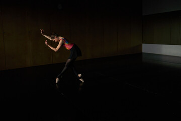 Warm-up and rehearsal of a professional ballet dancer