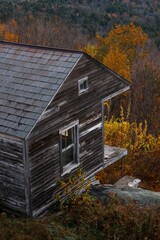 Aerial view of wooden building surrounded by dense trees