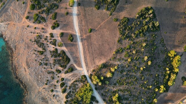 Shot of a rugged coastline near Sa Coma in Mallorca, Spain, with dense trees