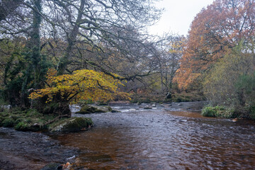 river in autumn
