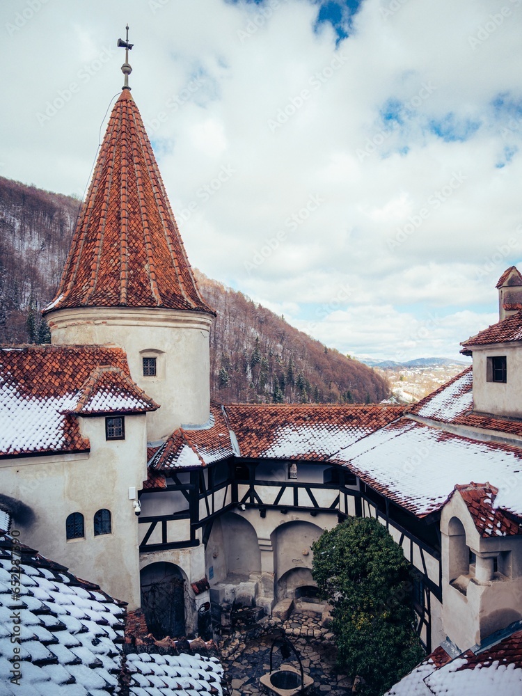 Canvas Prints a snowy day with a castle roof and small tree in the foreground