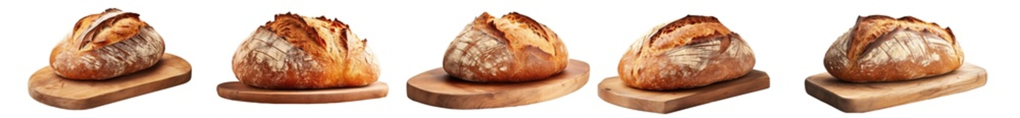 collection of a round loaf of freshly baked homemade artisan sourdough bread on a round wood plank