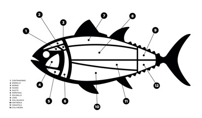 Tuna Cuts black and white diagram (ronqueo). Parts of tuna written in Spanish.