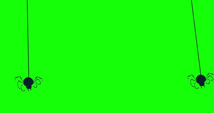 Заголовок: Funny cute spider hanging on green screen. Animal character for elements of designs Halloween party. Spider of cartoon in flat style with key color. 4k graphic motion animation for yours pr