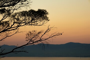 Scenic shot of a tranquil river with trees in the background