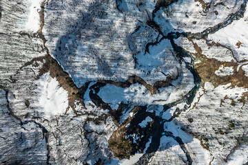 雪解けの進む森林