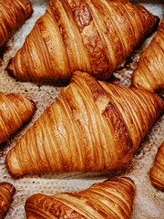 Fresh baked croissants. Warm fresh croissants with crispy crust closeup