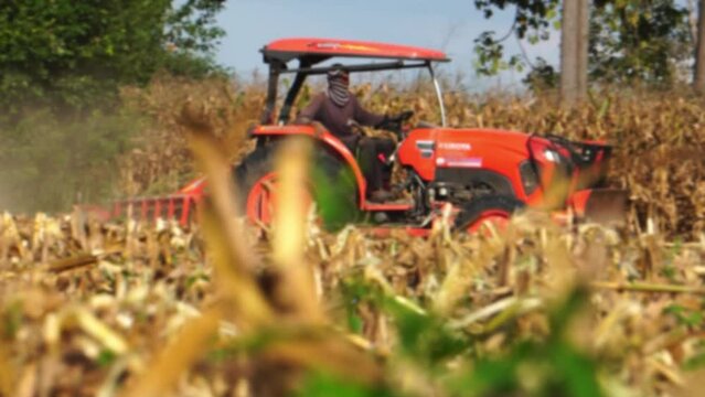 Farmer cultivates land, tractor plowing a field corn