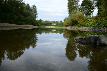 Obraz premium reflection of trees in the water