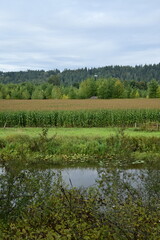 landscape with river and clouds