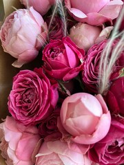 Bouquet of pink roses