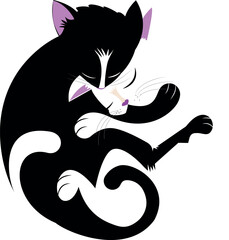 Um casal de gatos dormindo e aninhando-se um ao outro. O macho protegendo a fêmea. ela tem um nariz em forma de coração.