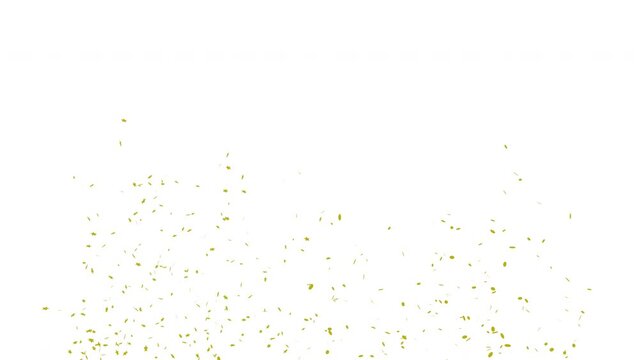 Golden Confetti Colorful Celebration Falling On White Green and Alpha Matte