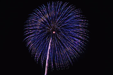 Obraz premium 古河花火大会「珠玉10発の大輪菊・野村花火工業」