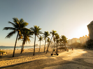 Sunset view of Leme and Copacabana beach with coconut trees in Rio de Janeiro Brazil